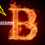 biz2202