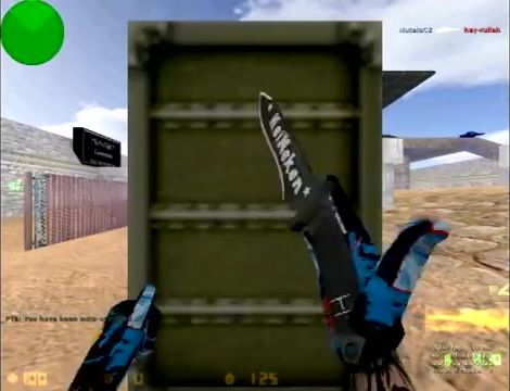 Counter strike 1.6. Чит Wallhack